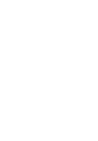 Castello Fieberbrunn Logo